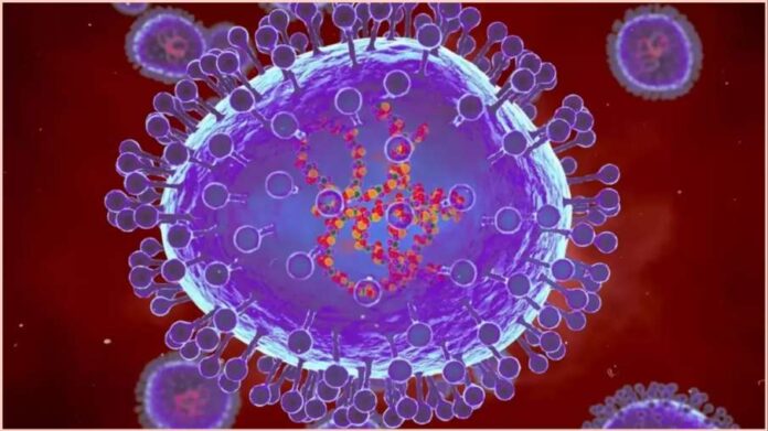 HMPV HMPV Virus
