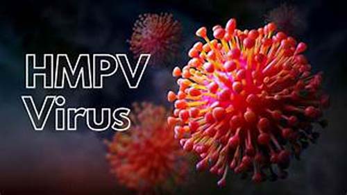 virus HMPV virus in Assam